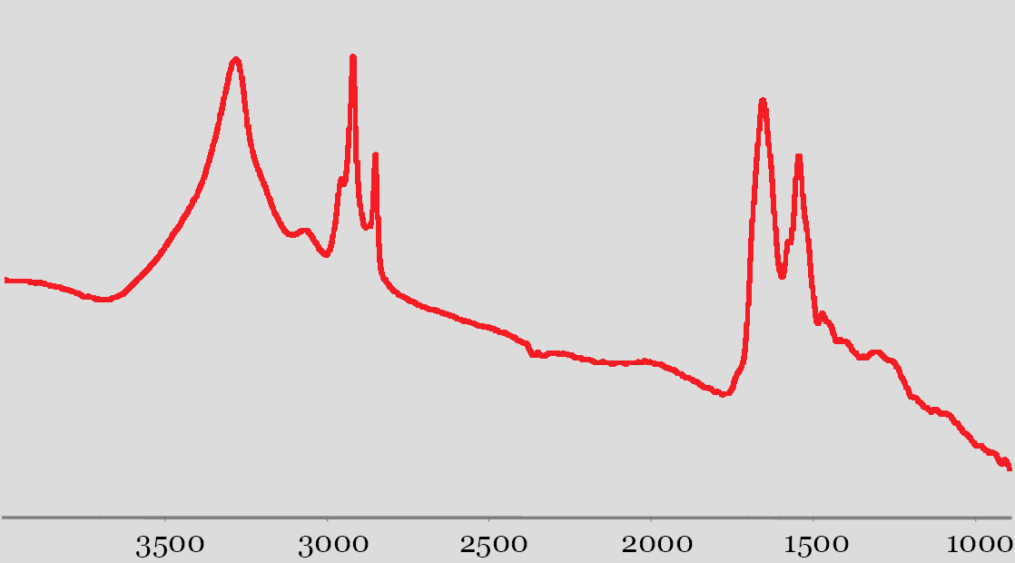 Globar: 6x6 µm2 1000 skanów = 500 s Liczba falowa [cm-1] Synchrotron: 3x3