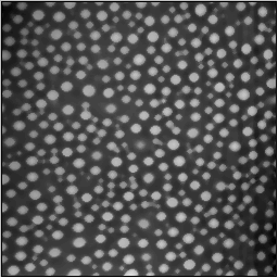 Temperatura T Segregacja i separacja faz T C Segregacja Separacja 0,0 0,2 0,4 0,6 0,8 1,0 = Α = 1 Β Przygotowanie cienkiej warstwy - wylewanie z roztworu (spincasting) Separacja fazowa hartowanie