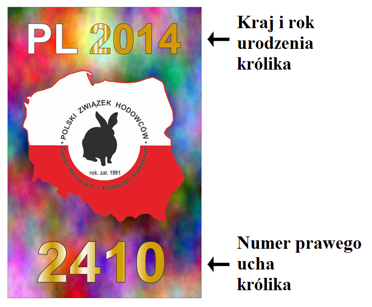 2.5.2. Przykłady prawidłowych tatuaży lewego ucha i sposób ich odczytania: a) PL24 PL = Polska; 2 = luty; 4 = 2014 r. b) PL124 PL = Polska; 12 = grudzień; 4 = 2014 r.