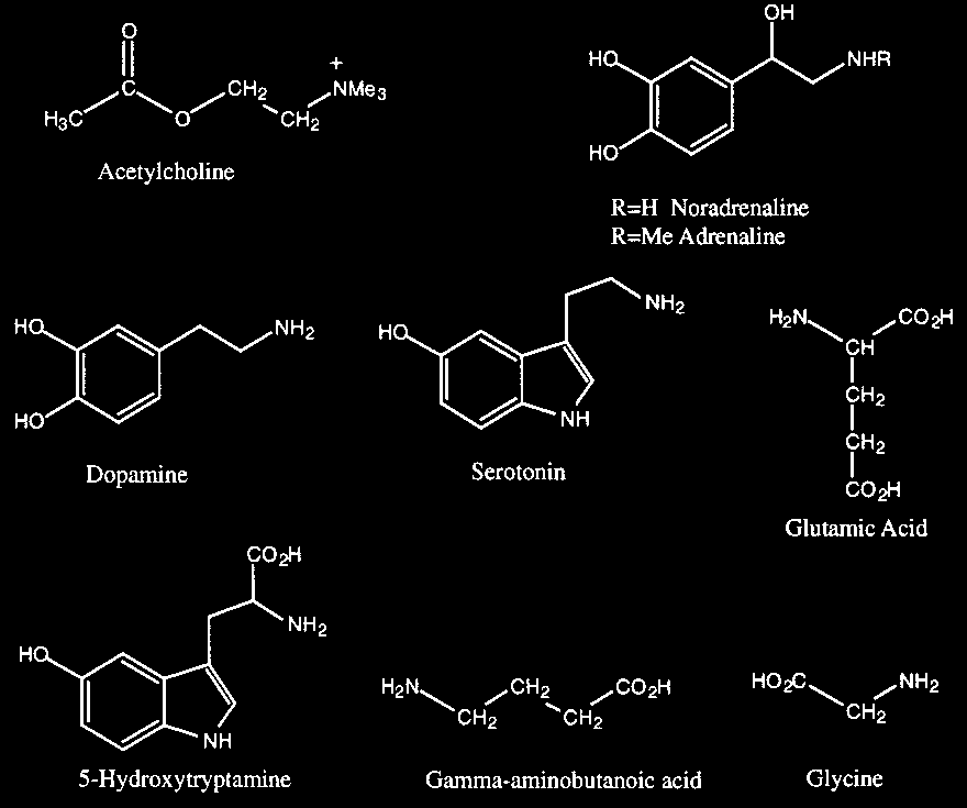 Receptory komórkowe neurotransmitery Funkcje kontrolne i komunikacyjne.