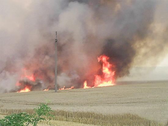 Znaczące źródła emisji dioksyn wokół nas Niekontrolowane spalanie odpadów,