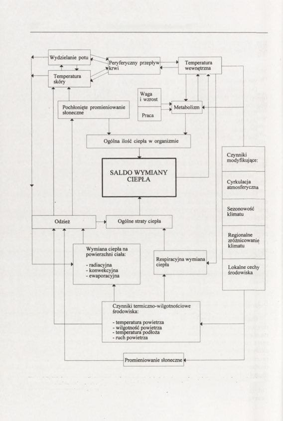 68 Bioklimatologia człowieka cz. III Ryc. 15.