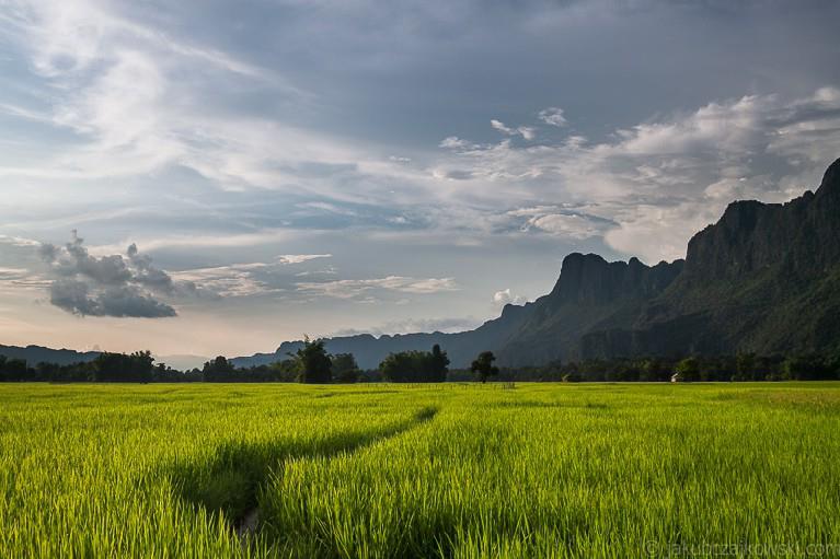 MILIONA SŁONI wyprawa przygodowa do Laosu