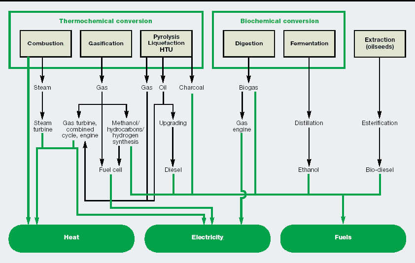 Technologie konwersji dla rynków Konwersja termochemiczna Konwersja biochemiczna Spalanie Gazyfikacja Piroliza Skraplanie HTU Fermentacja (rozszerzenie) Fermentacja Ekstrakcja (nasiona oleiste) Para