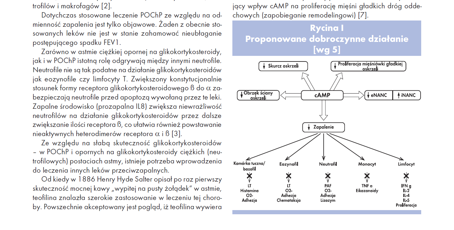 Proponowane dobroczynne działanie camp w obturacyjnych chorobach dróg oddechowych Inhibitory fosfodiesterazy Teofilina niespecyficzny inhibitor fosfodiesteraz (PDE-3, PDE-4 i