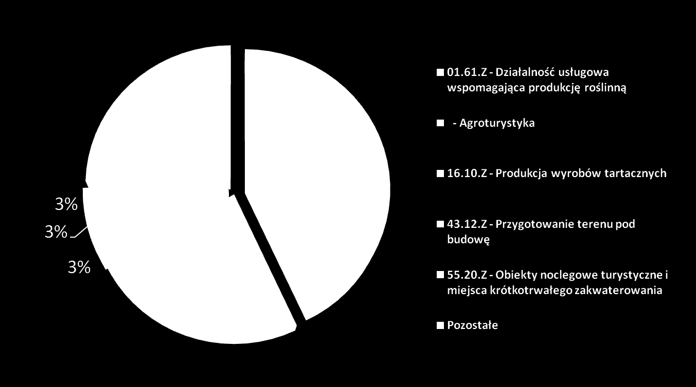 LEADER Rodzaje wspieranych działalności Wykres 1.