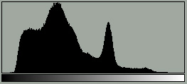 Rysunek 1: Przykładowy zeskanowany obraz. Rysunek 2: Przykładowy histogram. jest całkowicie wystarczające. Rezultat takiej korekty pokazuje rysunek 4.