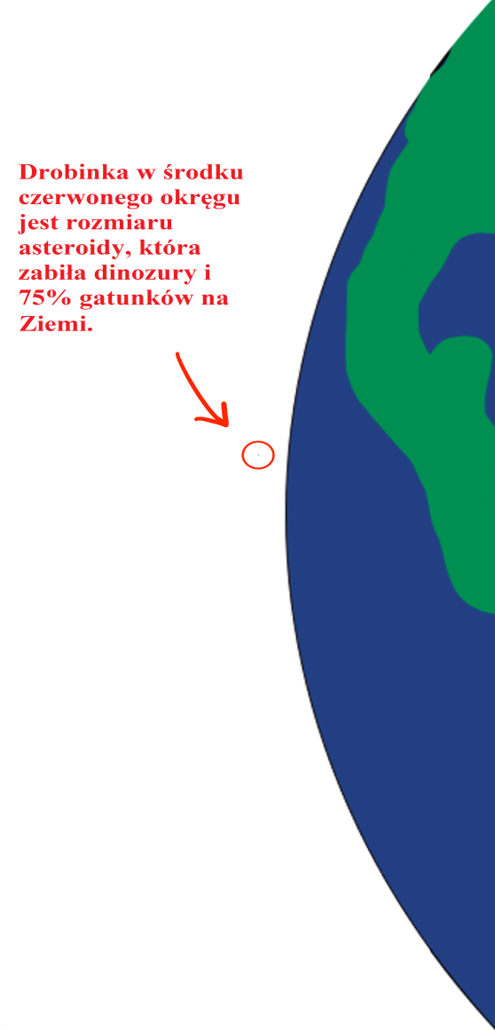 Słynna asteroida która zasmuciła dinozaury miała około 10 km średnicy.