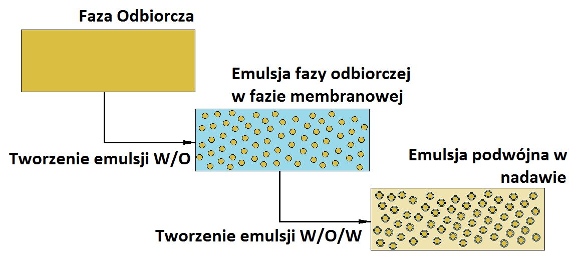 Membrany emulsyjne (ELM emulsion liquid membranes) Membrany ELM to układy trójfazowe, składające się z emulsji dwóch niemieszających się ze sobą faz, zazwyczaj wody w rozpuszczalniku organicznym,