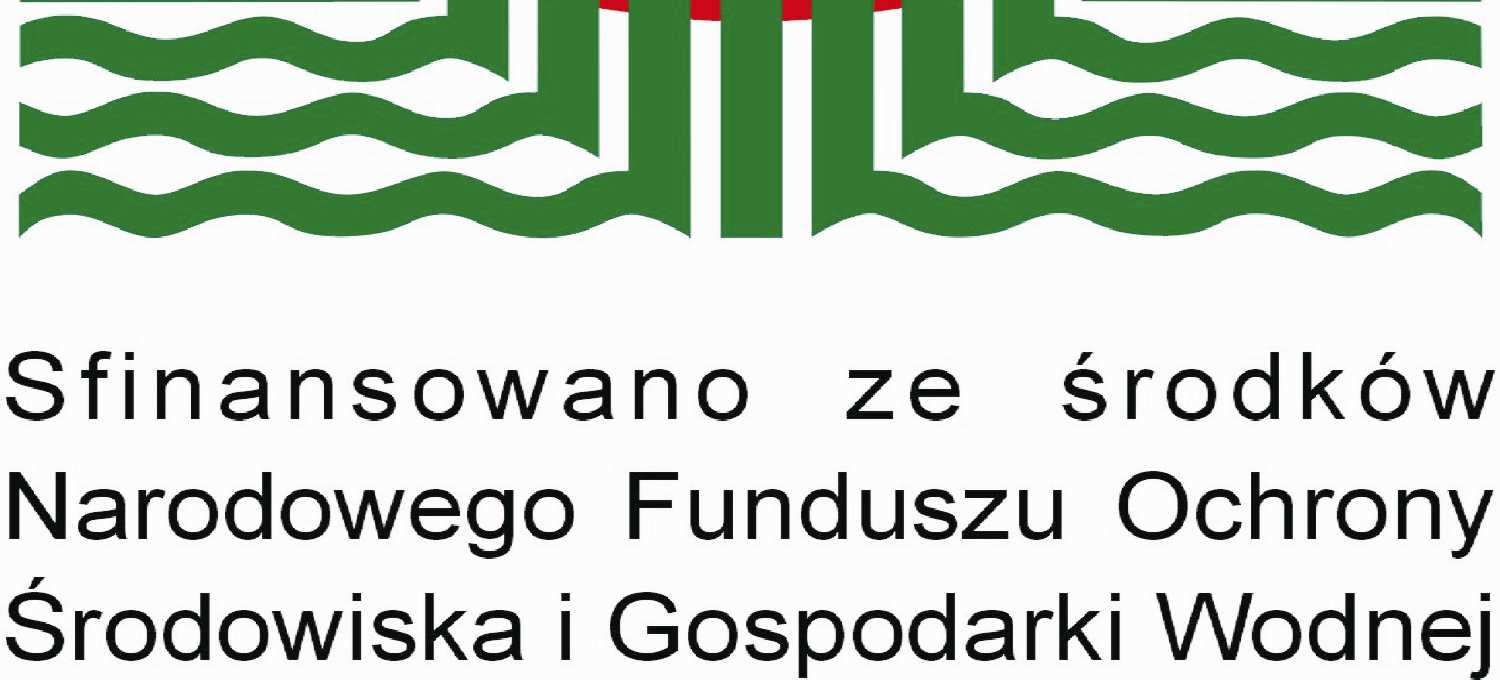 Praca wykonana na zlecenie Głównego Inspektoratu Ochrony Środowiska i