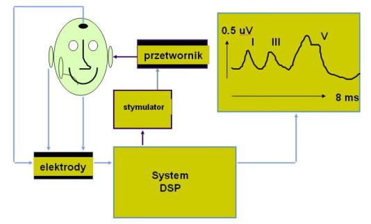 Zapis słuchowych potencjałów wywołanych pnia mózgu u osoby zdrowej Ciąg
