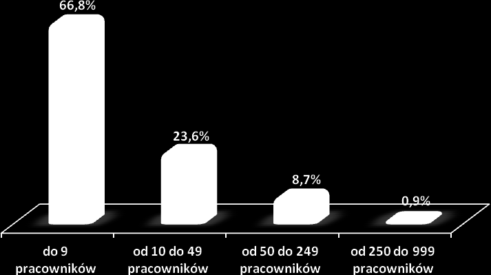 66,8% wszystkich przedsiębiorstw. Pracodawcy zatrudniający od 10 do 49 pracowników stanowili 23,6% ogółu badanych.