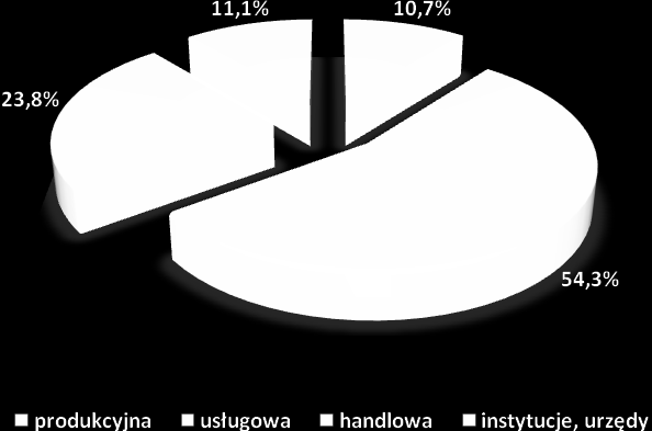 Wykres nr 64. Profil działalności badanych przedsiębiorstw.