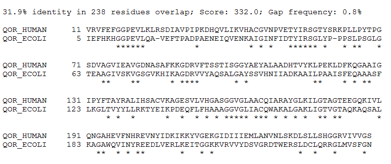 Homologia nie zawsze podobne funkcje Zeta-krystalina (soczewka oka kręgowców, human) Q08257, Oksydoreduktaza chininowa (E.