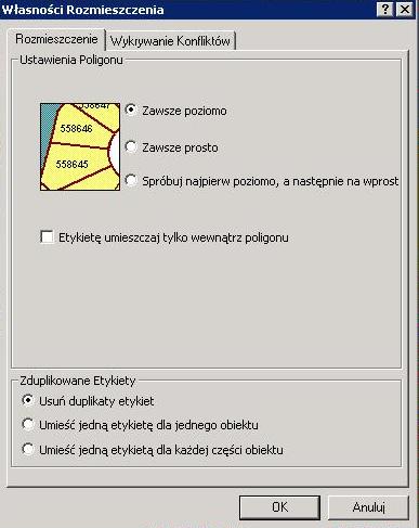 Rys. 7. Własności rozmieszczenia etykiet warstwy tematycznej 25.