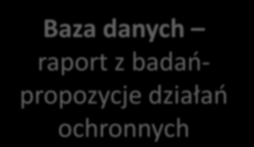 Baza danych raport z