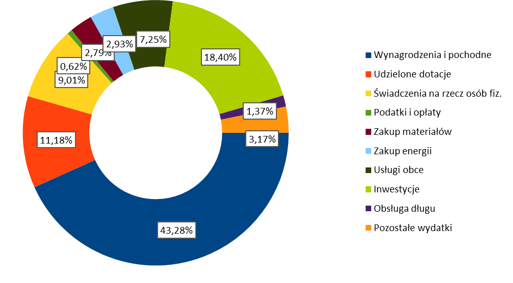 Wykres: Struktura wykonania za 2013r.