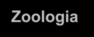 Zoologia 4.