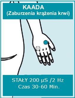 Box 1360 Vista, CA 92085-1360 USA Autoryzowany przedstawiciel i serwis: Holandia 0086 Import/dystrybucja w Polsce: AP Plan ul.