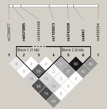 WYNIKI (Tabela 75). Sprzężenia te wykazywały wystarczającą siłę do wygenerowania dwóch bloków haplotypowych (Ryc. 27.). W pozostałych przypadkach, z powodu stosunkowo niskich wartość D oraz współczynnika korelacji r 2, zaistnienie sprzężenia między nimi jest mało prawdopodobne.