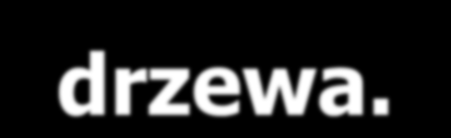 związków genealogicznych,