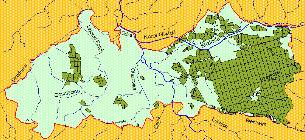 Ryc. Położenie hydrograficzne i sieć rzeczna Nadleśnictwa. Wody podziemne. Utwory czwartorzędowe występują na terenie całej powierzchni Nadleśnictwa, nie tworzą jednak zwartej pokrywy.