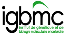 Biologie Moléculaire et