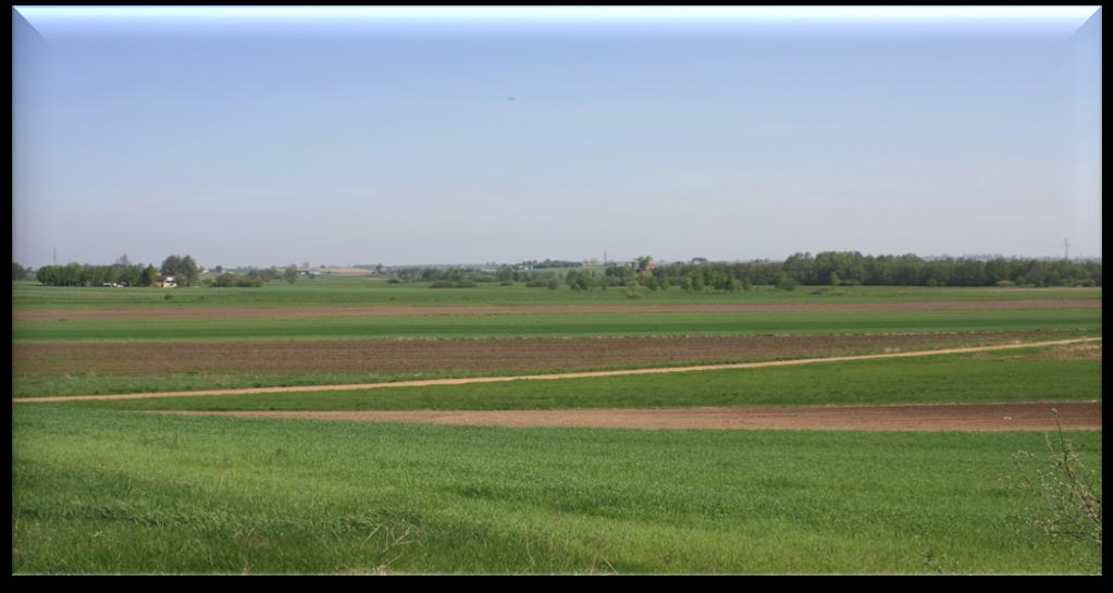 Pakiet 5. Cenne siedliska poza obszarami Natura 2000: Wariant 5.1. Zmiennowilgotne łąki trzęślicowe, Wariant 5.2. Zalewowe łąki selernicowe i słonorośla, Wariant 5.3.