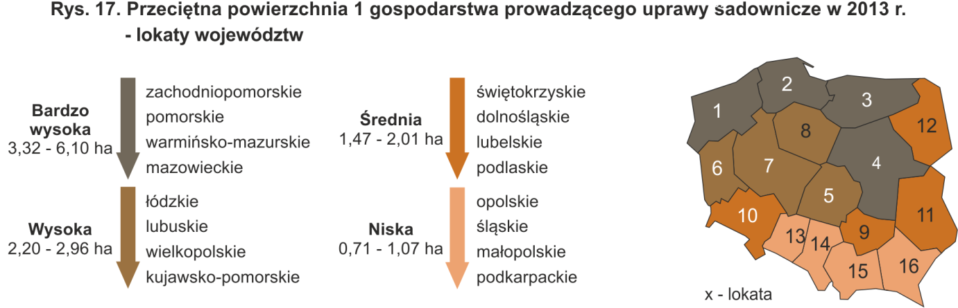 Tabl. 22. Gospodarstwa rolne posiadające sady według grup obszarowych użytków rolnych w 2013 r.