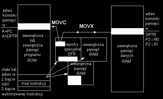 W trzeciej instrukcji (MOV 35,#4Bh) pierwszy bajt zawiera kod wykonywanej instrukcji, drugi adres komórki wewnętrznej pamięci RAM (35) zamienianej na liczbę szesnastkową (23), a trzecia wartość