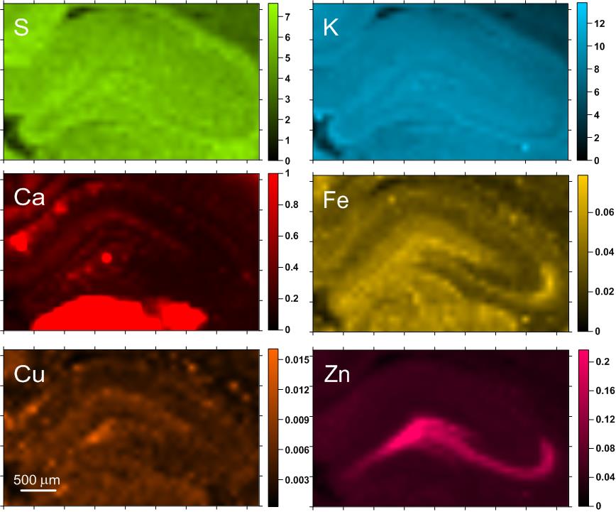 Wyniki badań pierwiastkowych Analiza topograficzna Mapy pierwiastkowe