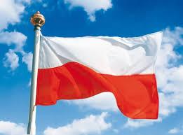 Dzień Flagi Rzeczypospolitej Polskiej polskie święto wprowadzone na mocy ustawy z 20 lutego 2004r, obchodzone między świętami: 1 maja Świętem Państwowym (Świętem