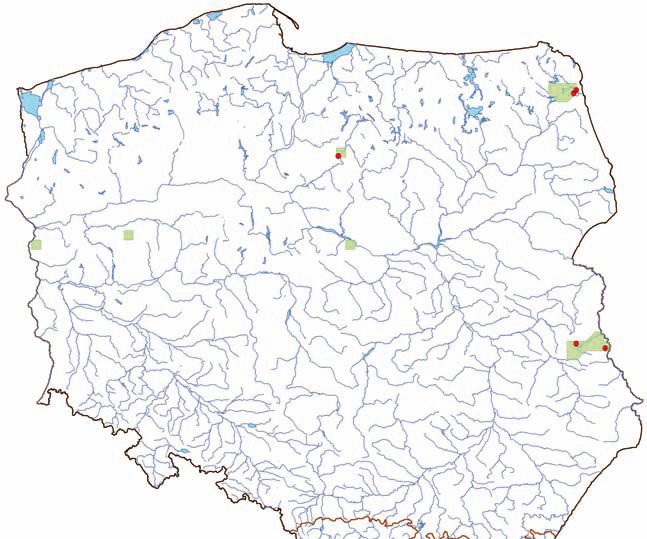 Monitoring gatunków ro lin 6. Rozmieszczenie w Polsce W dzisiejszych granicach Polski, na przestrzeni dziejów, aldrowand odnotowano na 92 stanowiskach.