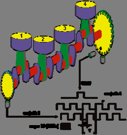 Preliminary Research of the Adaptive Control of the Injection Timing in the Diesel Engine po przeciwnej stronie wału, jest mniejsze, lecz wyposażone w taką samą liczbę zębów jak pierwsze.