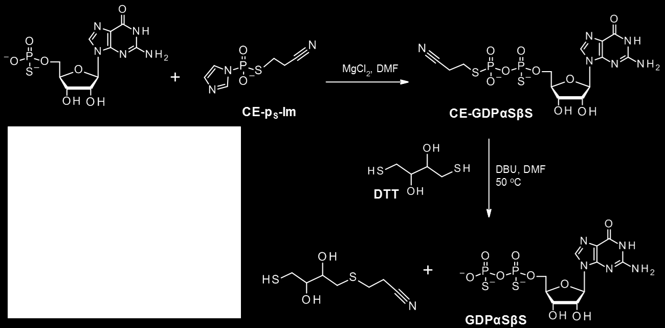 Rysunek 57. Schemat syntezy wykorzystującej nowy reagent CE-p S -Im ukazujący rolę DTT w reakcji eliminacji grupy cyjanoetylowej.