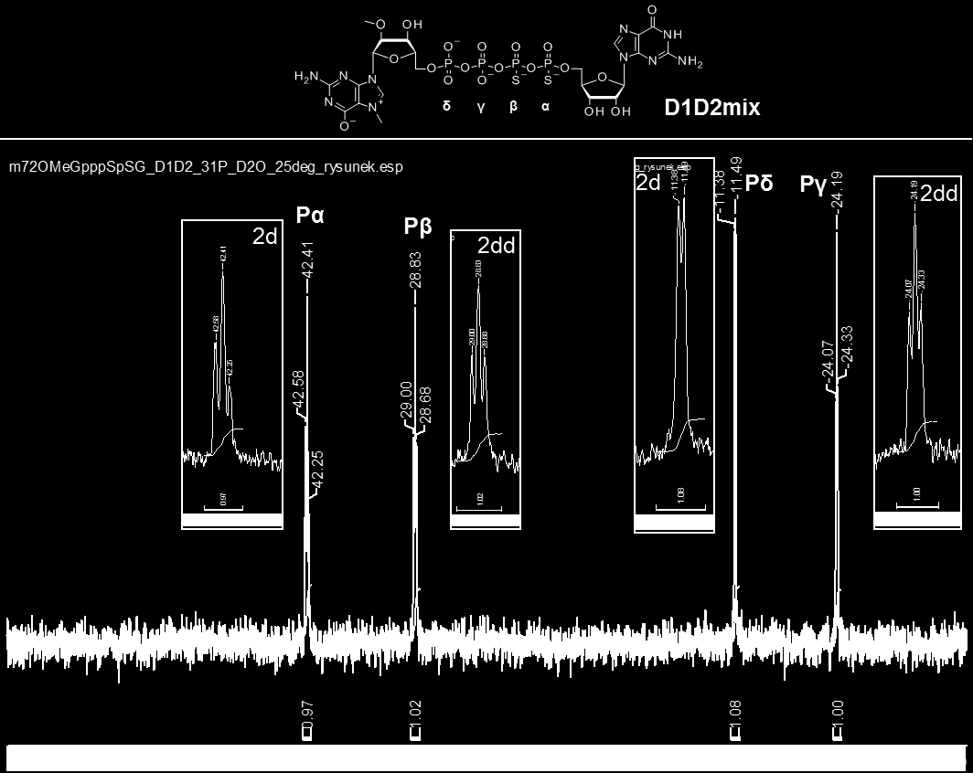 Rysunek 66. Przykładowe widmo 31 P NMR dla reprezentatywnego bis(tiofosforanowego) analogu kapu. Widmo wykonano dla mieszaniny diastereoizomerów D1 i D2 m 2 7,2 -O Gppp S p S G (sól amonowa).