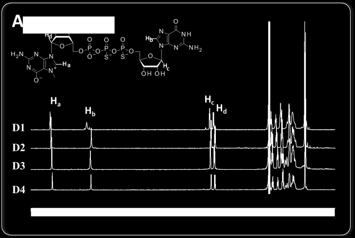 atomami siarki wykazują niewielkie różnice w przesunięciu chemicznym dla poszczególnych diastereoizomerów (±2 ppm).