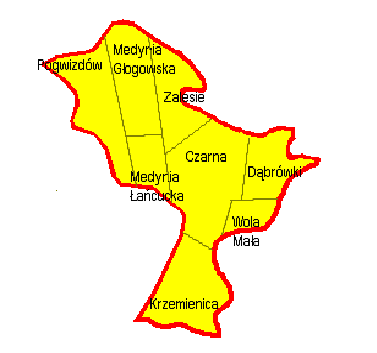 W aktualnych granicach administracyjnych istnieje od 1 lipca 1976 roku. W skład gminy wchodzi 8 miejscowości, które tworzą 8 sołectw tj.