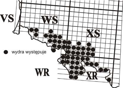 Wydra w Sudetach A B Zmiany rozmieszczenia wydry w kwadratach UTM w latach 1991-2008