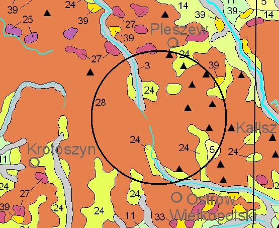 36 S t r o n a 3.3. Budowa geologiczna Teren gminy Raszków położony jest w obrębie jednostki geologicznej zwanej monokliną przedsudecką.