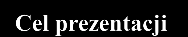 Prezentacja doświadczeń związanych z realizacją polskiej części międzynarodowego projektu dotyczącego zaangażowania instytucji finansowych (banków i funduszy