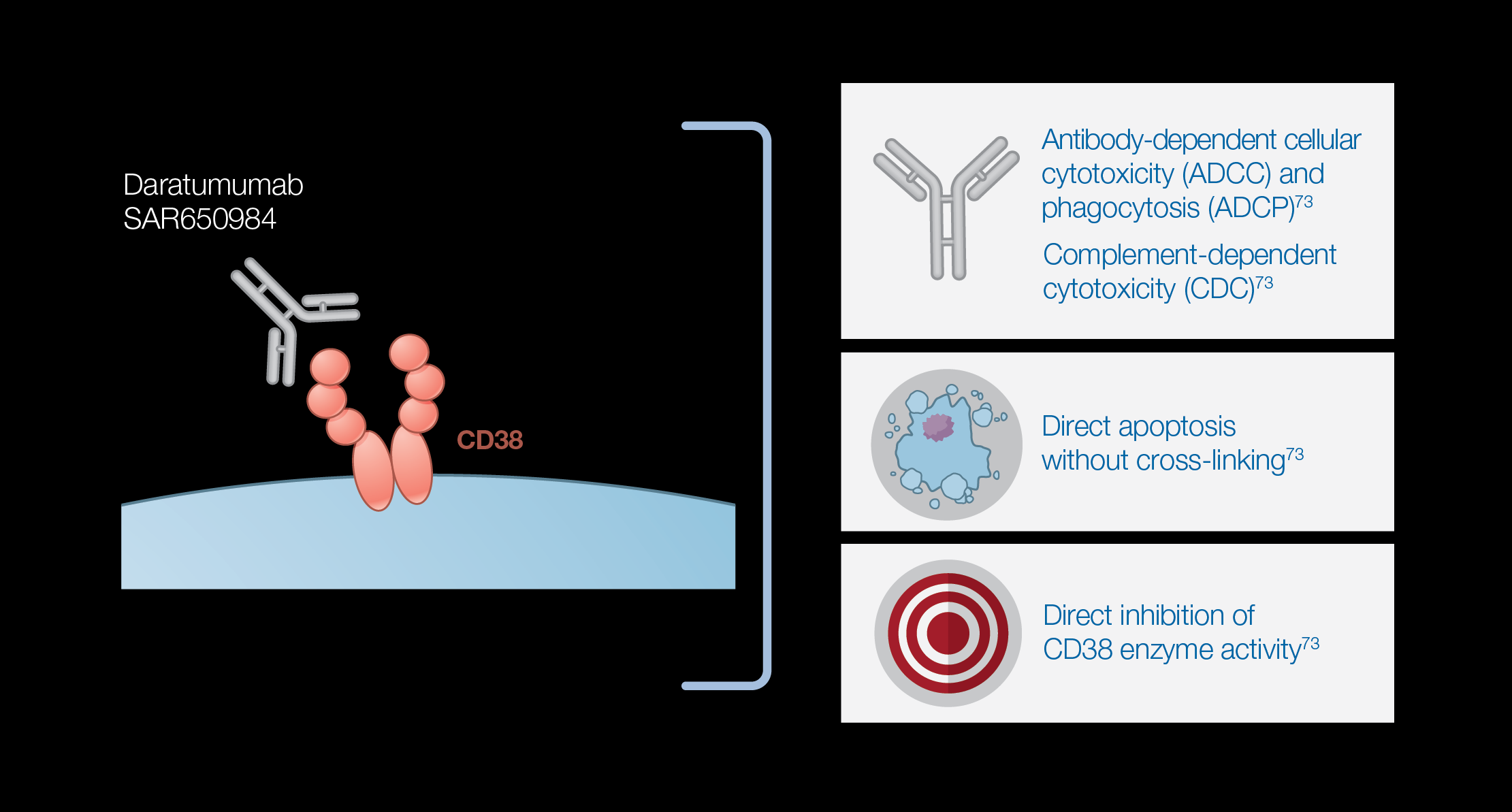 CD38-Targeted Monoclonal Antibodies: Daratumumab and SAR650984 MOA Daratumumab and SAR650984 are anti-cd38 mabs that exhibit anti-myeloma activity and function via similar mechanisms of action 1,2