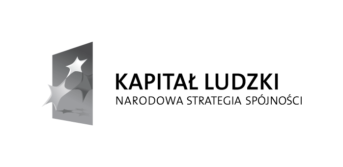 ZAPYTANIE OFERTOWE nr 1/2013/SE z dnia 5 listopada 2013 r. dot. przeprowadzenia badań i szkolenia w projekcie Szkolenia ekspertów ZP BCC 1.