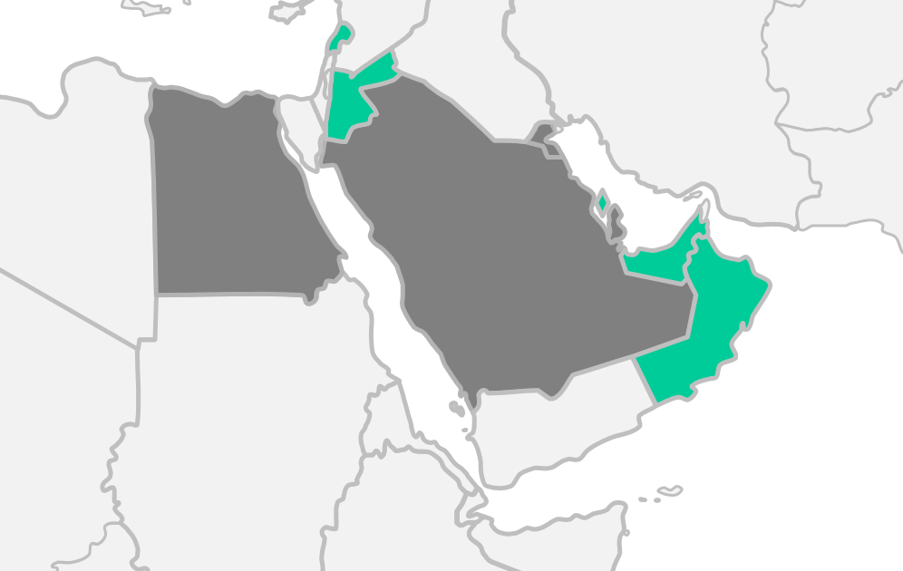 Bliski Wschód duży potencjał wzrostu Rozwój w dwóch kierunkach: Nowe kraje: ZEA, Liban, Jordania, Oman i Bahrajn Nowe marki: MOHITO i SiNSAY (oprócz rozwoju RESERVED).