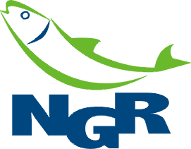 NADNOTECKA GRUPA RYBACKA Instrukcja wypełnienia załącznika nr 2/NGR do wniosku o dofinansowanie.
