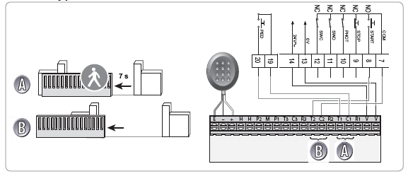 Fotokomórki Fotokomórki lustrzane mute cells output tłumienie komórki wyjście Na