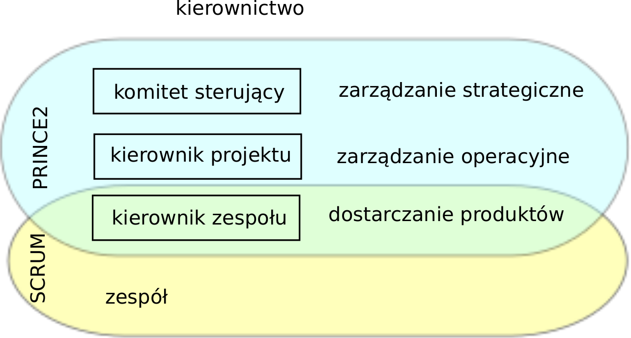 PRINCE2 - projekty w sterowalnym ±rodowisku zarz dzanie strategiczne: odpowiedzialne za sukces projektu, m.in.