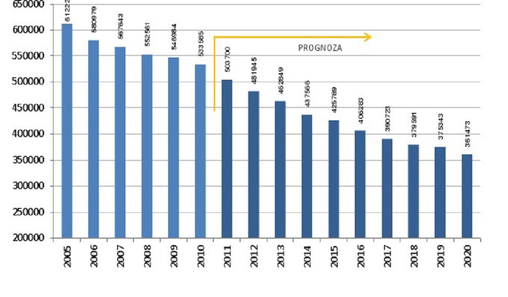 Podobny trend można obserwować w grupie młodzieży 19-24 lata. Z prognoz wynika, że w każdym kolejnym roku w okresie 2011-2020 łączna liczba osób w wieku od 19 do 24 lat będzie wyraźnie malała (Rys.