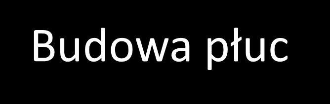 Budowa płuc Płuca to parzysty narząd o budowie pęcherzykowatej w
