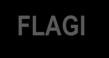 FLAGI Prawidłowe rozmieszczenie flag: Koszalin, Albano Laziale (I), Bourges (F), Fuzhou (Chiny), Kristianstad (Szwecja), flaga UE Powiaty: szamotulski, poznański,